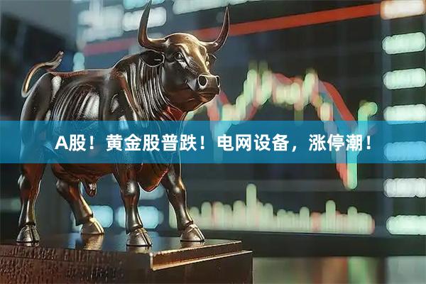 A股！黄金股普跌！电网设备，涨停潮！