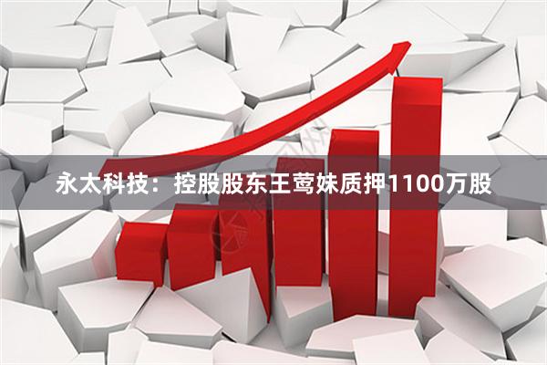永太科技：控股股东王莺妹质押1100万股