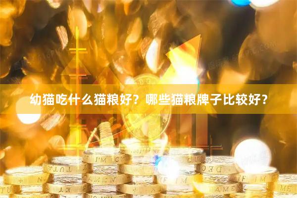 幼猫吃什么猫粮好？哪些猫粮牌子比较好？