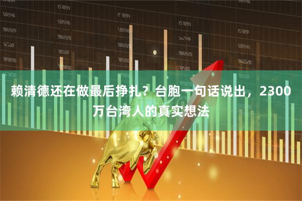赖清德还在做最后挣扎？台胞一句话说出，2300万台湾人的真实想法